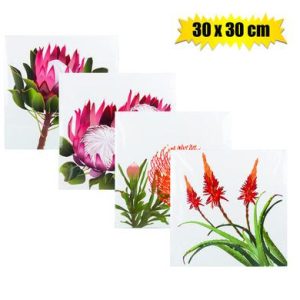 PLAQUE-WALL CANVAS PICTURE PROTEA 30X30