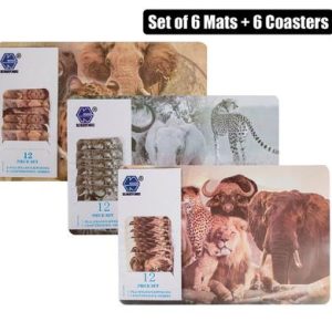 PLACE MAT PP W/COASTERS 6PC 43x28cm ASST
