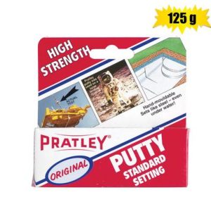 PRATLEY STANDARD PUTTY 100g-PACK