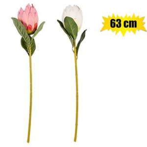 FLOWER PROTEA 63cm ASSTD