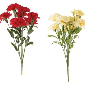 FLOWER-BUNCH CARNATIONS ASSTD